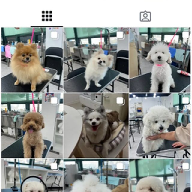 포트폴리오 작업물